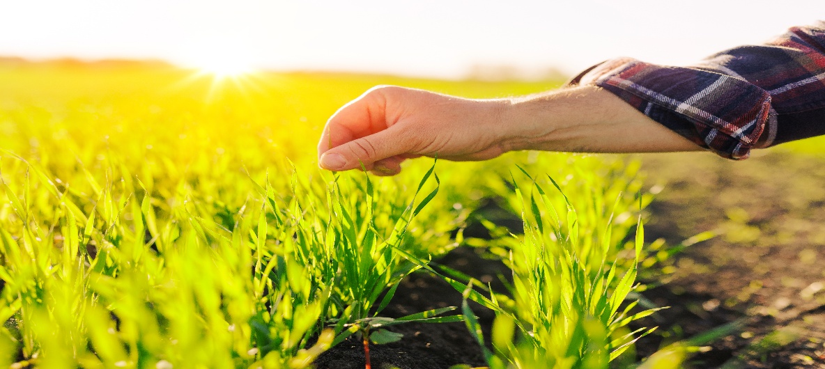 Agro Chemicals technical support